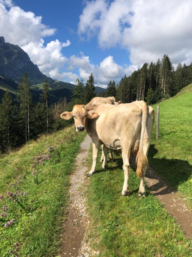 Schoenenbueel Teufen Dış mekan fotoğraf