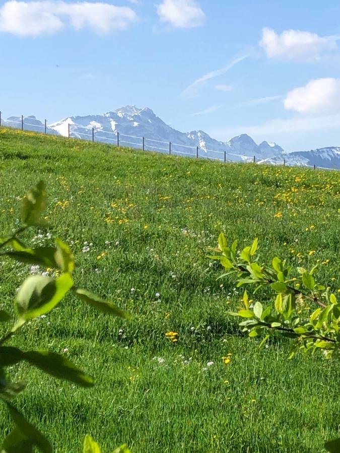 Schoenenbueel Teufen Dış mekan fotoğraf